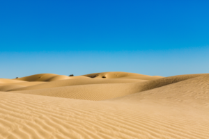 Desierto de Altar